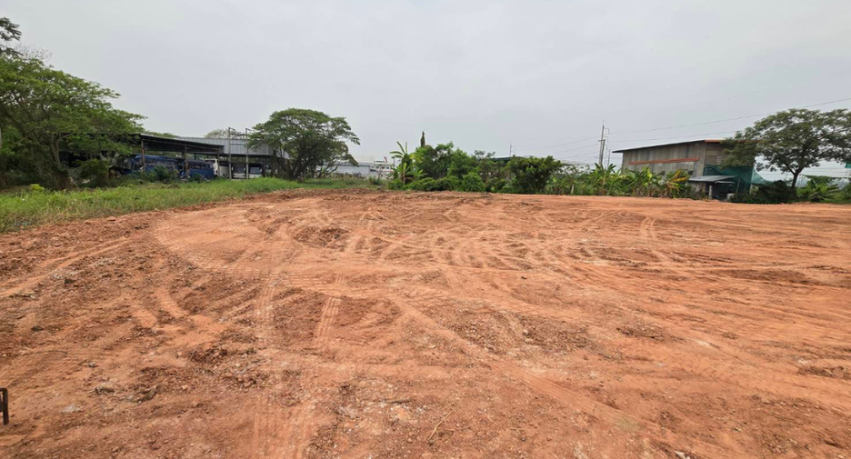 For rent land in Saraphi, Chiang Mai