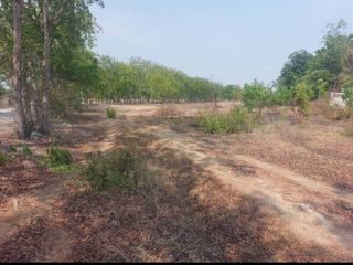 ขาย ที่ดิน ใน เมืองสุพรรณบุรี, สุพรรณบุรี