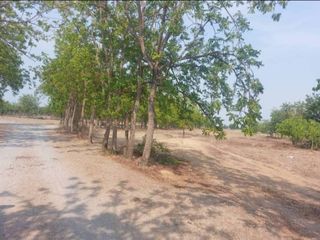 ขาย ที่ดิน ใน เมืองสุพรรณบุรี, สุพรรณบุรี