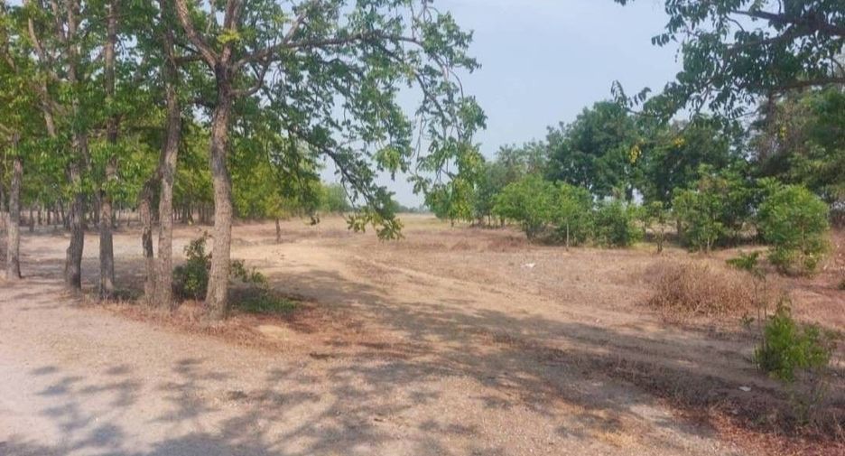 For sale land in Mueang Suphanburi, Suphan Buri
