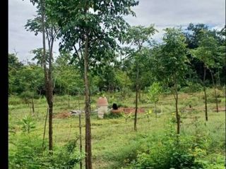 出售 土地 在 U Thong, Suphan Buri