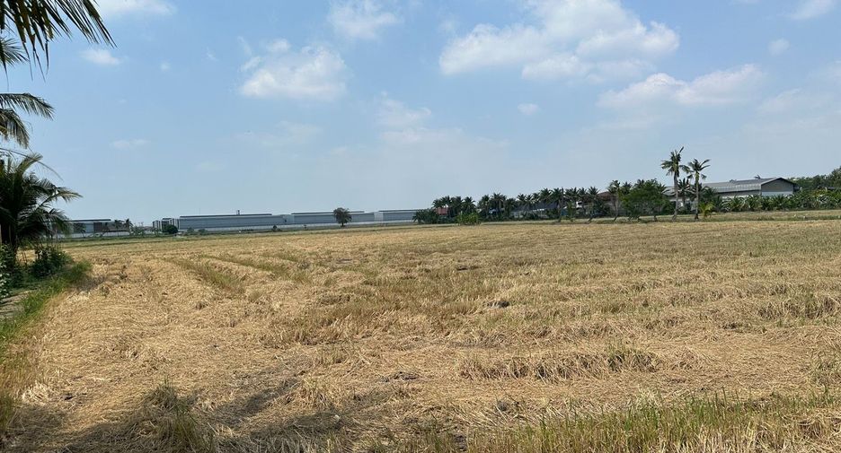 For sale land in Sam Phran, Nakhon Pathom