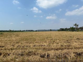 À vendre terrain à Sam Phran, Nakhon Pathom