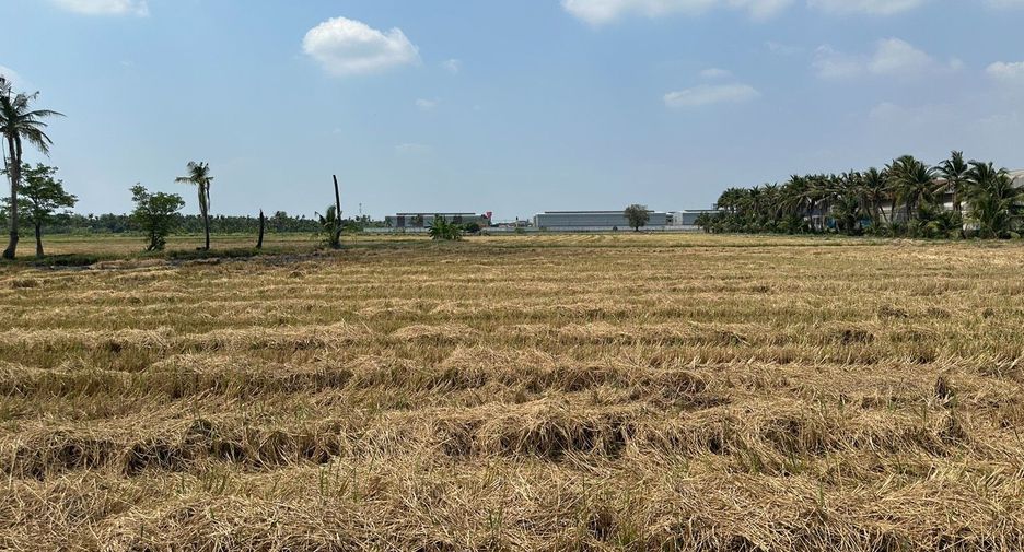 For sale land in Sam Phran, Nakhon Pathom