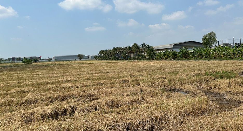 For sale land in Sam Phran, Nakhon Pathom