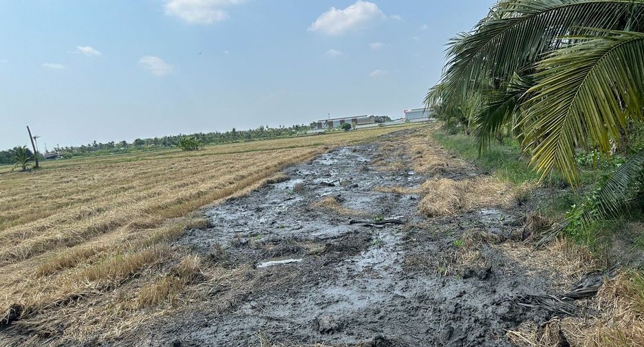 For sale land in Sam Phran, Nakhon Pathom