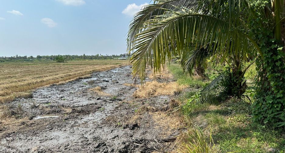 For sale land in Sam Phran, Nakhon Pathom
