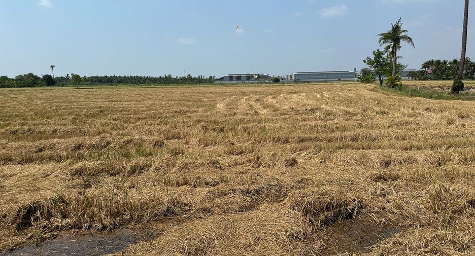 For sale land in Sam Phran, Nakhon Pathom