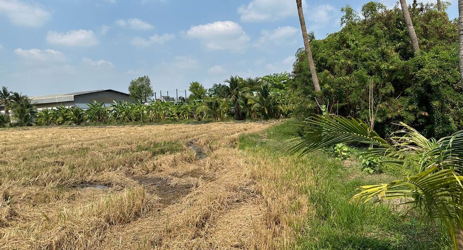 For sale land in Sam Phran, Nakhon Pathom
