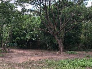 For sale land in Mueang Phitsanulok, Phitsanulok