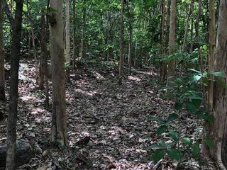 For sale land in Mueang Phitsanulok, Phitsanulok