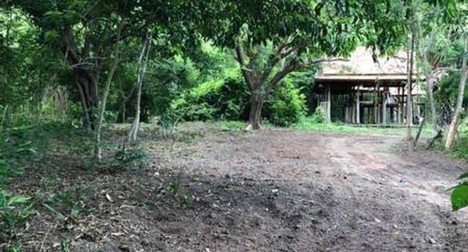 For sale land in Mueang Phitsanulok, Phitsanulok