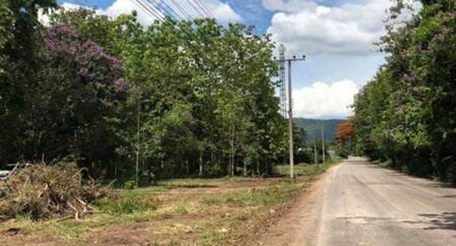 For sale land in Mueang Phitsanulok, Phitsanulok