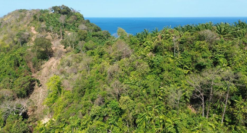 Grundstück zum Kauf in Mueang Phuket, Phuket