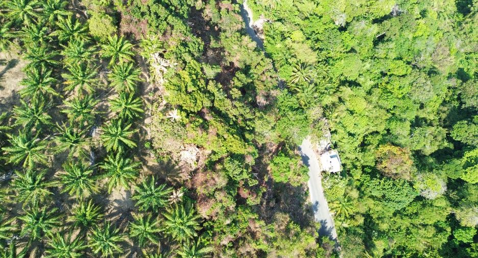 Grundstück zum Kauf in Mueang Phuket, Phuket