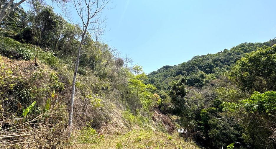 Grundstück zum Kauf in Mueang Phuket, Phuket
