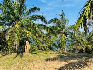 For sale land in Mueang Phuket, Phuket