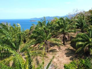 For sale land in Mueang Phuket, Phuket