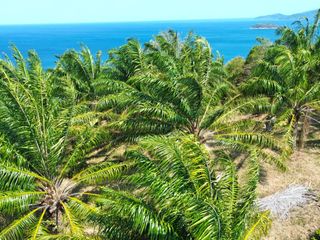 For sale land in Mueang Phuket, Phuket