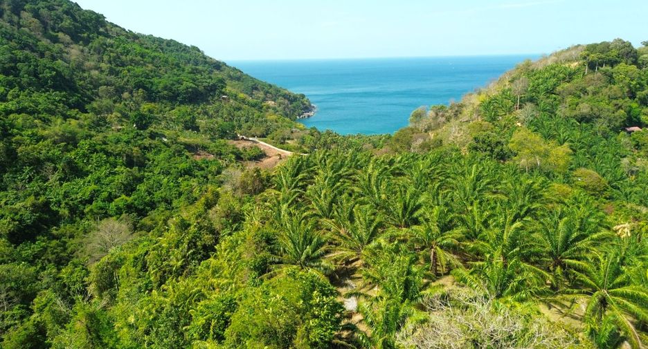 Grundstück zum Kauf in Mueang Phuket, Phuket