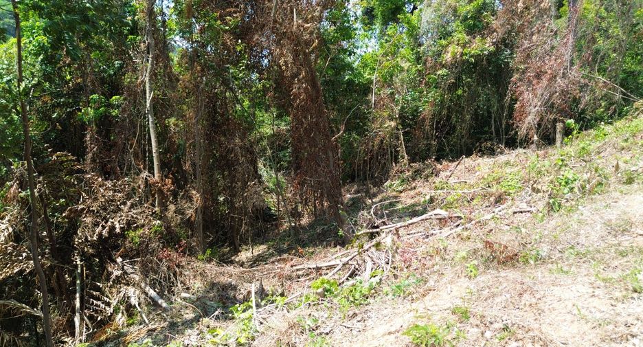 Grundstück zum Kauf in Mueang Phuket, Phuket