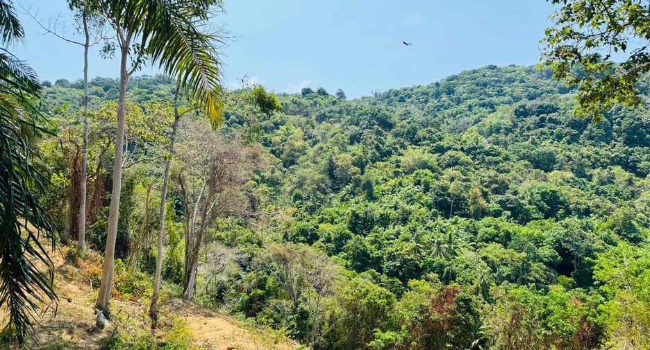 Grundstück zum Kauf in Mueang Phuket, Phuket