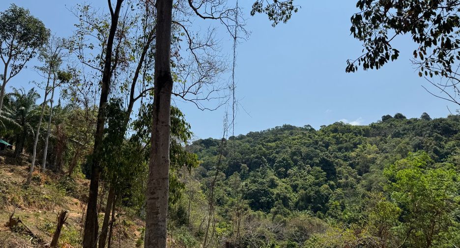 Grundstück zum Kauf in Mueang Phuket, Phuket