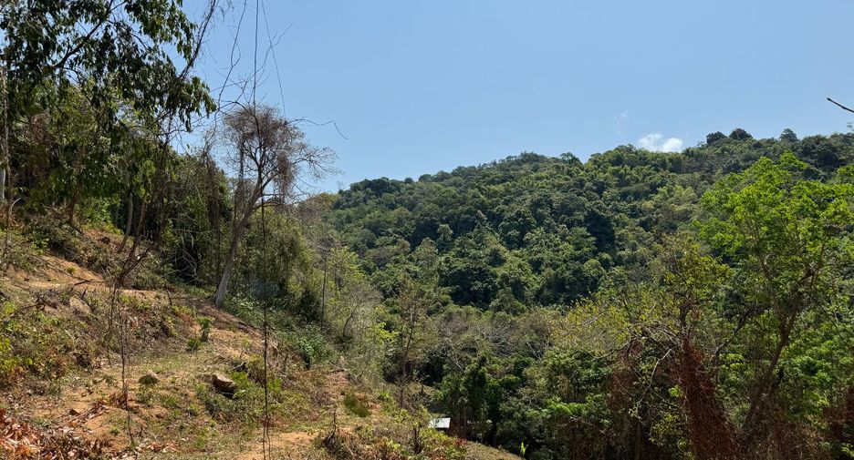 Grundstück zum Kauf in Mueang Phuket, Phuket