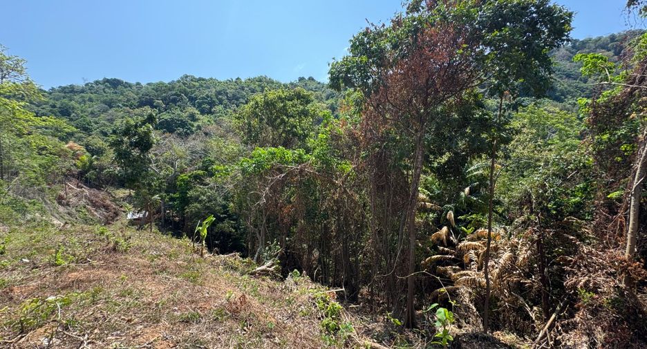 Grundstück zum Kauf in Mueang Phuket, Phuket