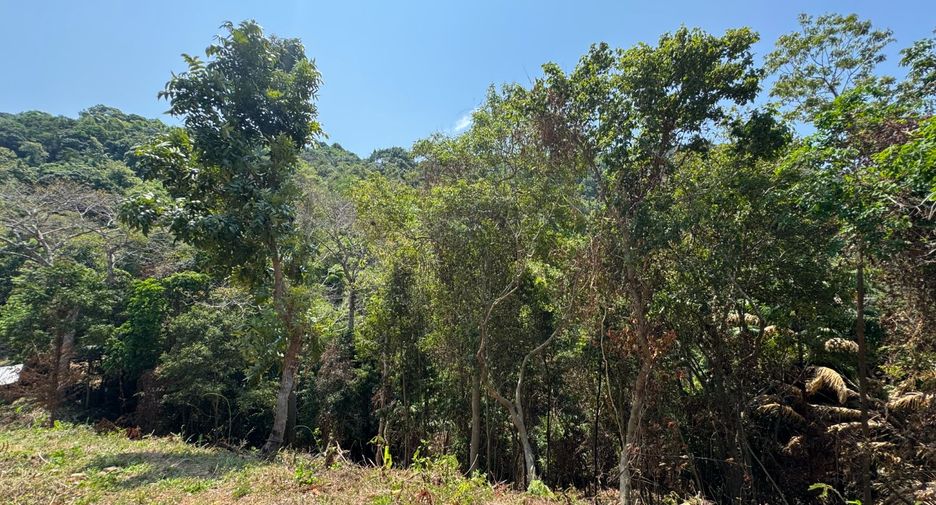 Grundstück zum Kauf in Mueang Phuket, Phuket