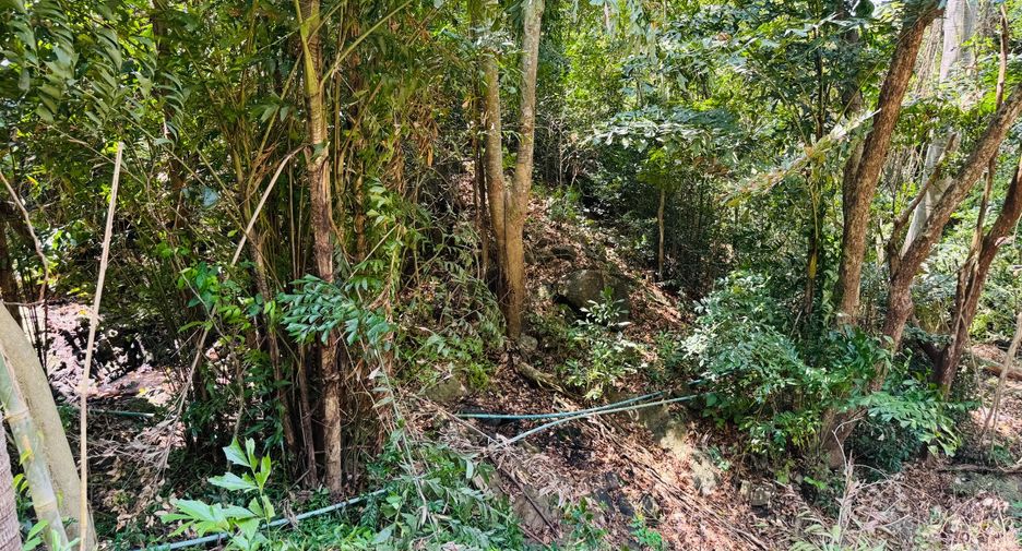 Grundstück zum Kauf in Mueang Phuket, Phuket