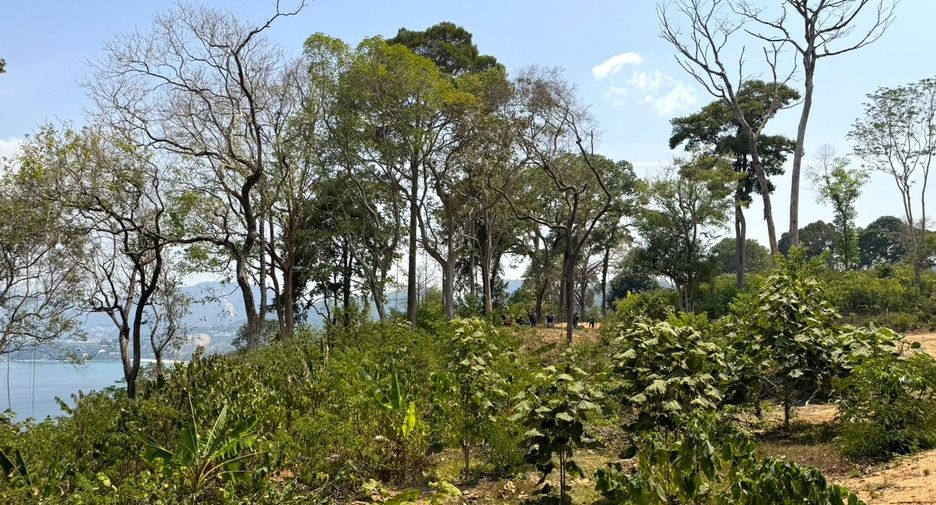 Grundstück zum Kauf in Mueang Phuket, Phuket