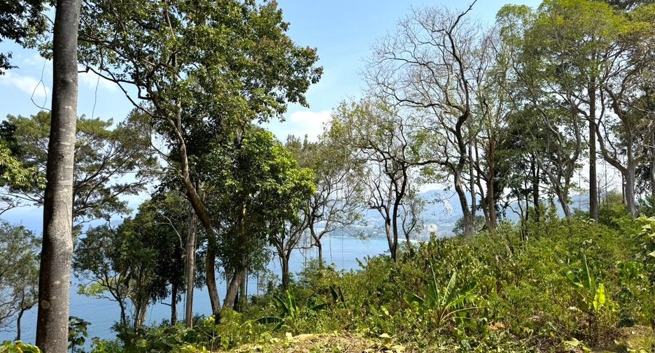 Grundstück zum Kauf in Mueang Phuket, Phuket