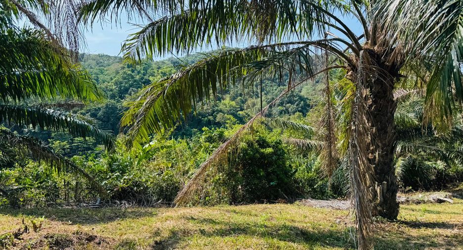 Grundstück zum Kauf in Mueang Phuket, Phuket