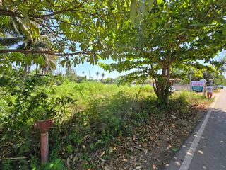 For sale land in Amphawa, Samut Songkhram