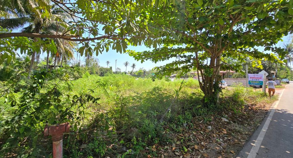 For sale land in Amphawa, Samut Songkhram