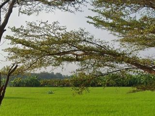 Terreno en venta en Sai Noi, Nonthaburi