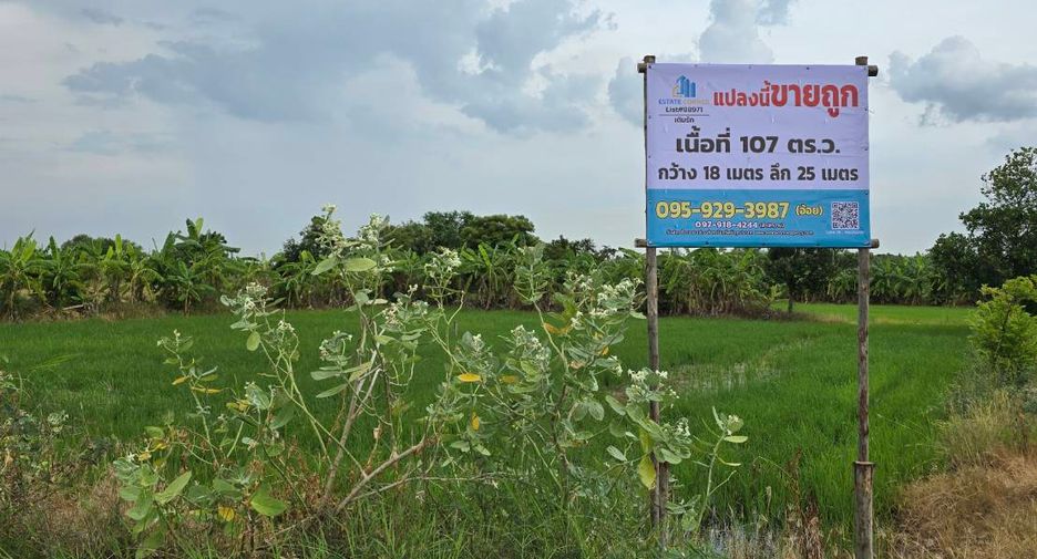 Продажа Участок в Sai Noi, Нонтабури