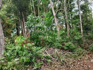 For sale land in Khao Saming, Trat
