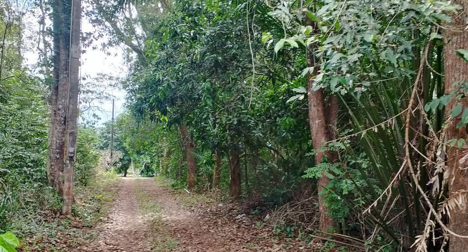 For sale land in Khao Saming, Trat