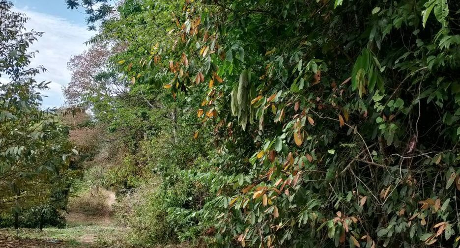For sale land in Khao Saming, Trat