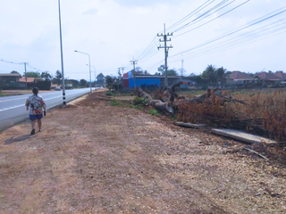For sale land in Nam Yuen, Ubon Ratchathani