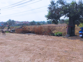 For sale land in Nam Yuen, Ubon Ratchathani