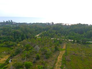 For sale land in Takua Pa, Phang Nga