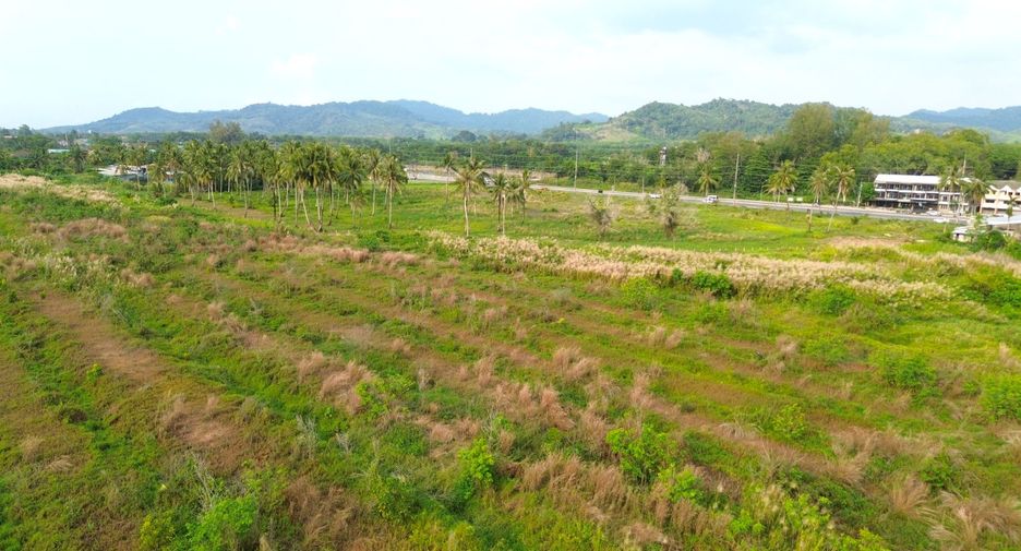 出售 土地 在 Takua Pa, Phangnga