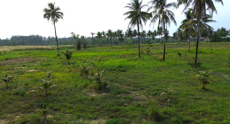 出售 土地 在 Takua Pa, Phangnga
