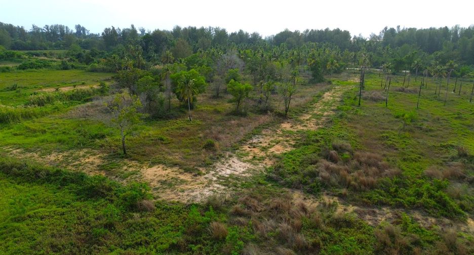 出售 土地 在 Takua Pa, Phangnga