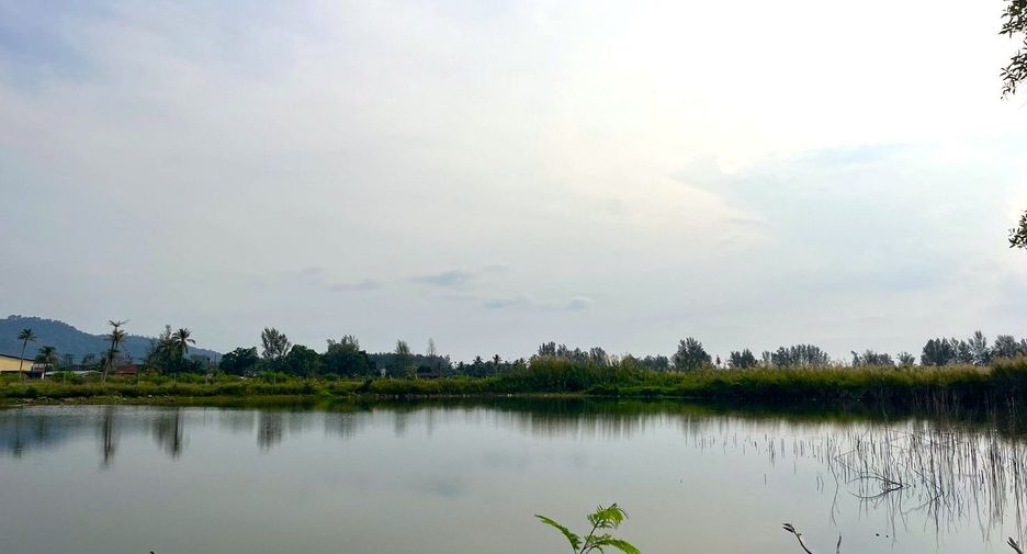 出售 土地 在 Takua Pa, Phangnga