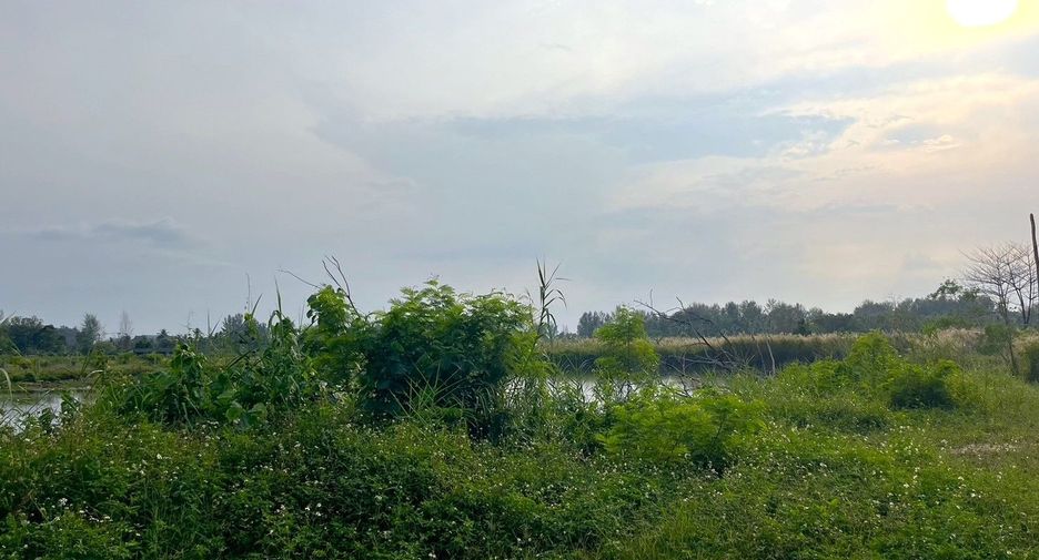 出售 土地 在 Takua Pa, Phangnga