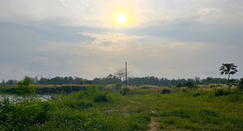 出售 土地 在 Takua Pa, Phangnga